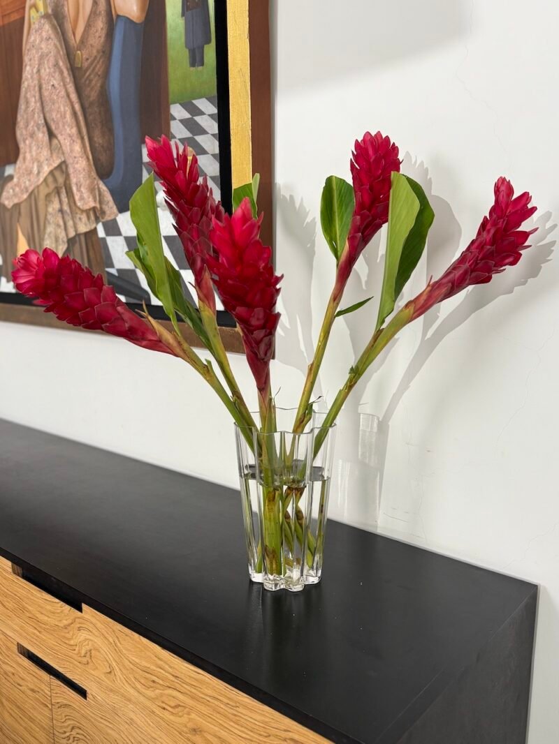 Florero Optik