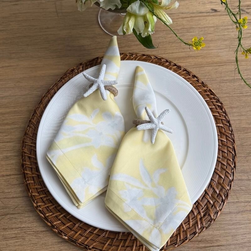 Arito Estrella de mar