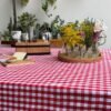 Mantel Picnic Cuadros Rojos chicos - 100% Cotton