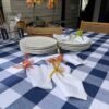 Mantel Picnic Cuadros Grandes Azules - 100% Cotton