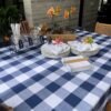 Mantel Picnic Cuadros Grandes Azules - 100% Cotton